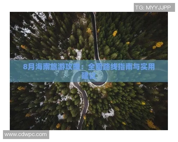 广告标准解析：媒体选择与内容限制的全面指南与实践建议